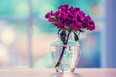 小学毕业可以参加泰安成人高考吗